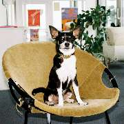 HECHT INS GEFECHT - GALLERY