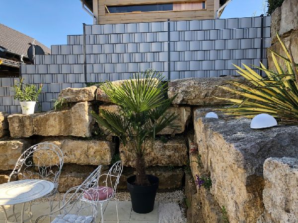 HEID ZAUN - 799DA57E-880A-49F0-992A-7D13B698D454.j …