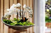 Heike Matuschewski - Interior Design - GALLERY