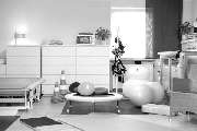 Heike Wurdinger Hundephysiotherapie - GALLERY