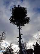 Heiko Jester - Garten- und Landschaftsbau GbR - 8