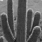 Heiko Lanio Foto-Design - GALLERY