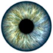 Heilpraktikerin Sigrid Ernst Praxis für Naturheilkunde - 11