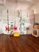 Heilpraxis Hafner - GALLERY