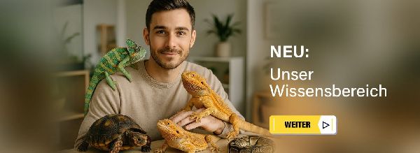 Heimtierworld UG - GALLERY