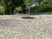 Hein - Haas Meisterbetrieb für Pflasterarbeiten und Gartengestaltung - GALLERY
