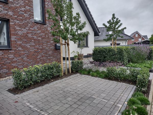 Heinrich Klammer Garten- und Landschaftsbau - What …