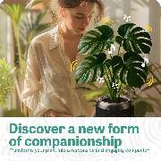 hello tomorrow UG (haftungsbeschränkt) - GALLERY