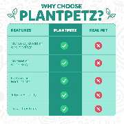 hello tomorrow UG (haftungsbeschränkt) - GALLERY