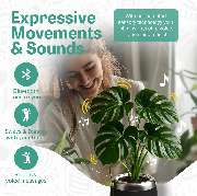 hello tomorrow UG (haftungsbeschränkt) - GALLERY