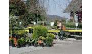 Helmstetter GmbH Garten-Fachmarkt - GALLERY