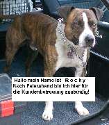 HELO Automobiltechnik GmbH - GALLERY