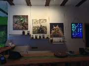 Hempstore CBD Shop - GALLERY