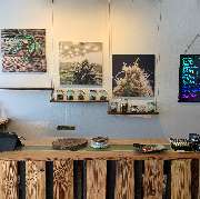Hempstore CBD Shop - GALLERY