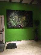 Hempstore CBD Shop - GALLERY