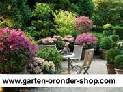 Herbert Bronder Gartengestaltung - 5