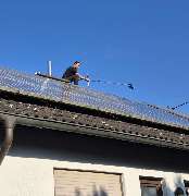 Hermann Reinhardt - Screenshot_20250815_074526.jpg