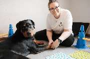 Hero Tierphysio Kochniss - GALLERY
