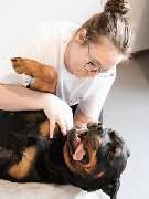 Hero Tierphysio Kochniss - GALLERY