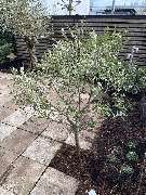 Herrmann Haus- & Gartenservice - GALLERY