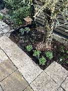 Herrmann Haus- & Gartenservice - GALLERY
