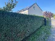 Herrmann Haus- & Gartenservice - GALLERY