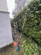 Herrmann Haus- & Gartenservice - GALLERY