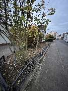 Herrmann Haus- & Gartenservice - GALLERY