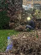 Herrmann Haus- & Gartenservice - GALLERY