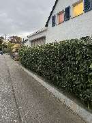 Herrmann Haus- & Gartenservice - GALLERY
