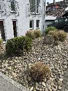 Herrmann Haus- & Gartenservice - GALLERY