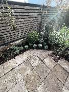 Herrmann Haus- & Gartenservice - GALLERY