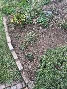 Herrmann Haus- & Gartenservice - GALLERY