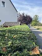 Herrmann Haus- & Gartenservice - GALLERY