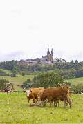 Herzoglich Bayerisches Forstgut Banz - GALLERY