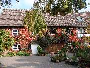 Hesselmann Baumschulen - GALLERY