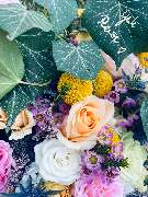 Heuschild Bestattung - GALLERY