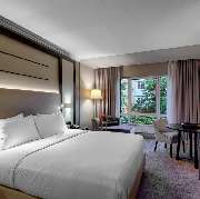 King Guest Room