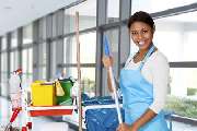 Hispaniola cleaning - 4