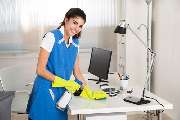 Hispaniola cleaning - 5