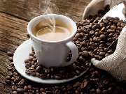 Hispaniola Import Export - Trading Agency - 4