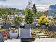 H&J Reinigungsservice - gartenpflege-rasenmaehen-heckenschnitt-baumpflege-Herknerstraße-4-weingarten-h-und-J-Reinigungsservice1.jpg