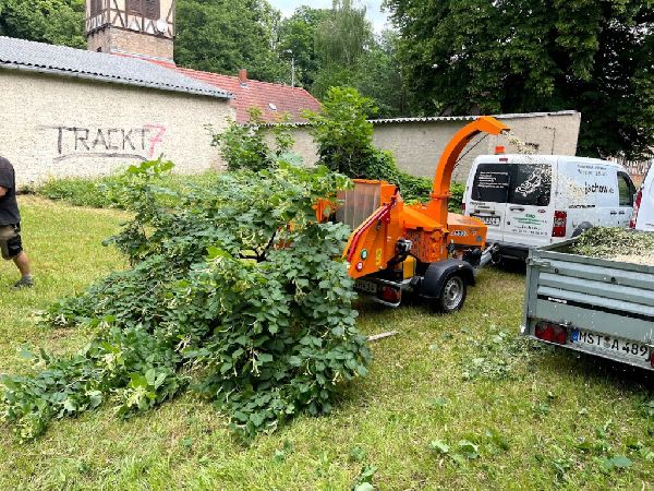 HMD Hubertus Jachow - 3