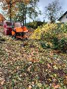 HmS service Simon Seelemeyer - Grundstück Freischneiden