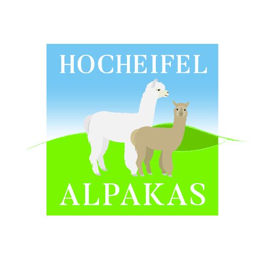 Hocheifel Alpakas - GALLERY