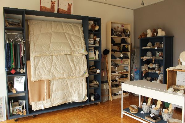 Hocheifel Alpakas - GALLERY