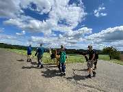 Hocheifel Alpakas - GALLERY