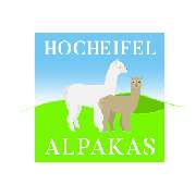 Hocheifel Alpakas - GALLERY
