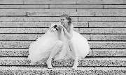 WHITEANDLIGHT.COM  – Hochzeitsfotograf in München