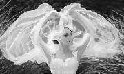 WWW.WHITEANDLIGHT.COM  – Hochzeitsfotograf in München